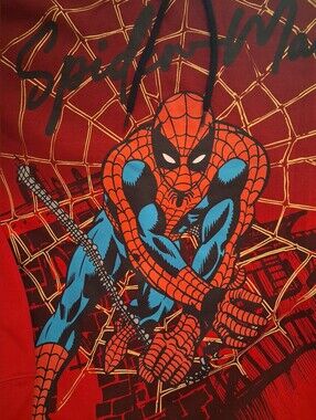 Boy's SpidermanMarvel Hoodie Size L